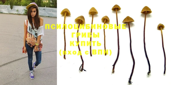 наркотики Бородино