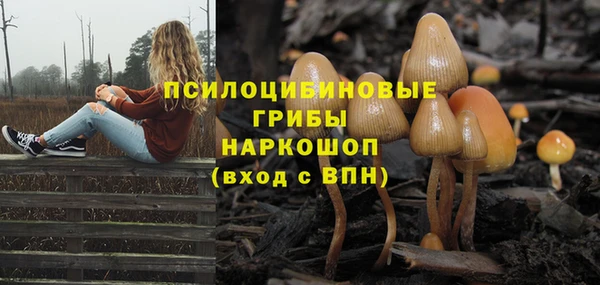 бутират Бугульма