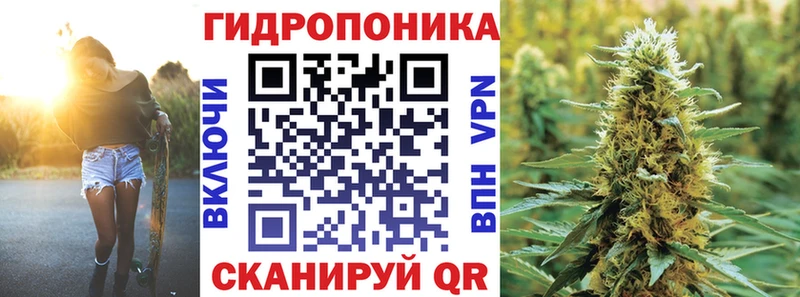 Каннабис семена Холмск